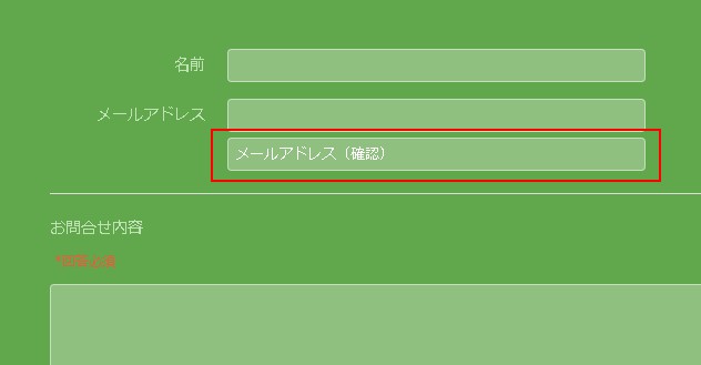 1.フォームに設置されたメールアドレス確認入力欄の様子